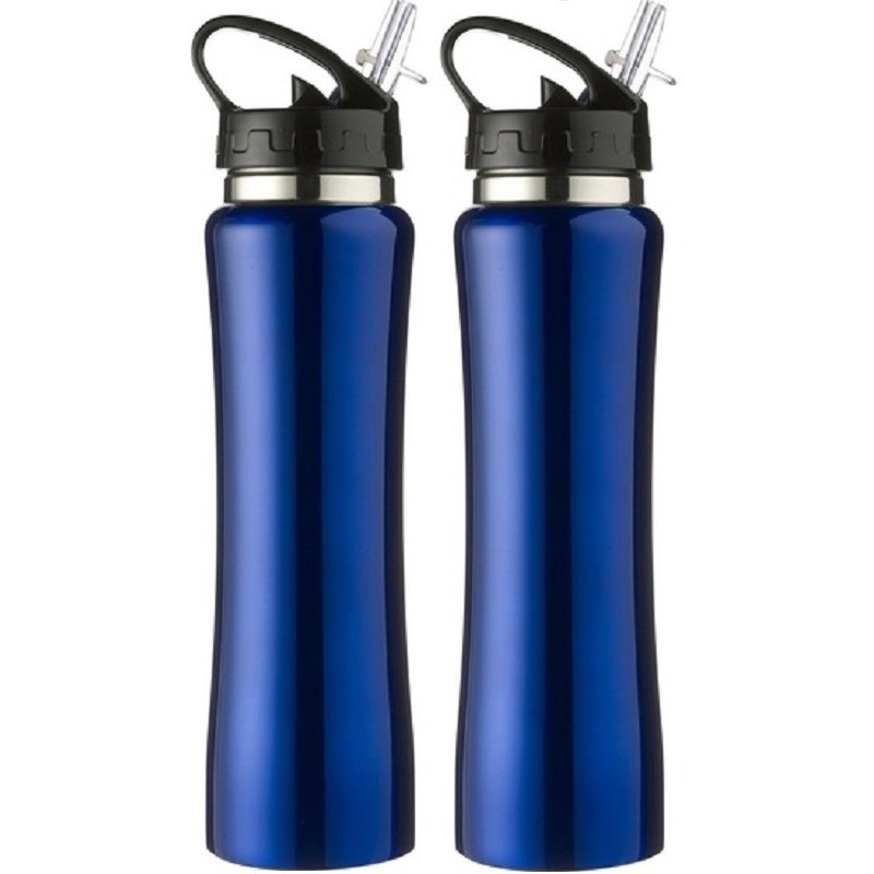 2x Blauwe RVS bidons/drinkflessen met buigbare drinktuit 500 ml - Sportfles