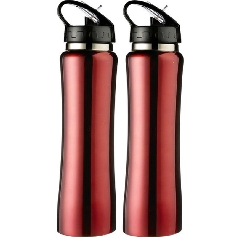 2x Rode RVS bidons/drinkflessen met buigbare drinktuit 500 ml - Sportfles