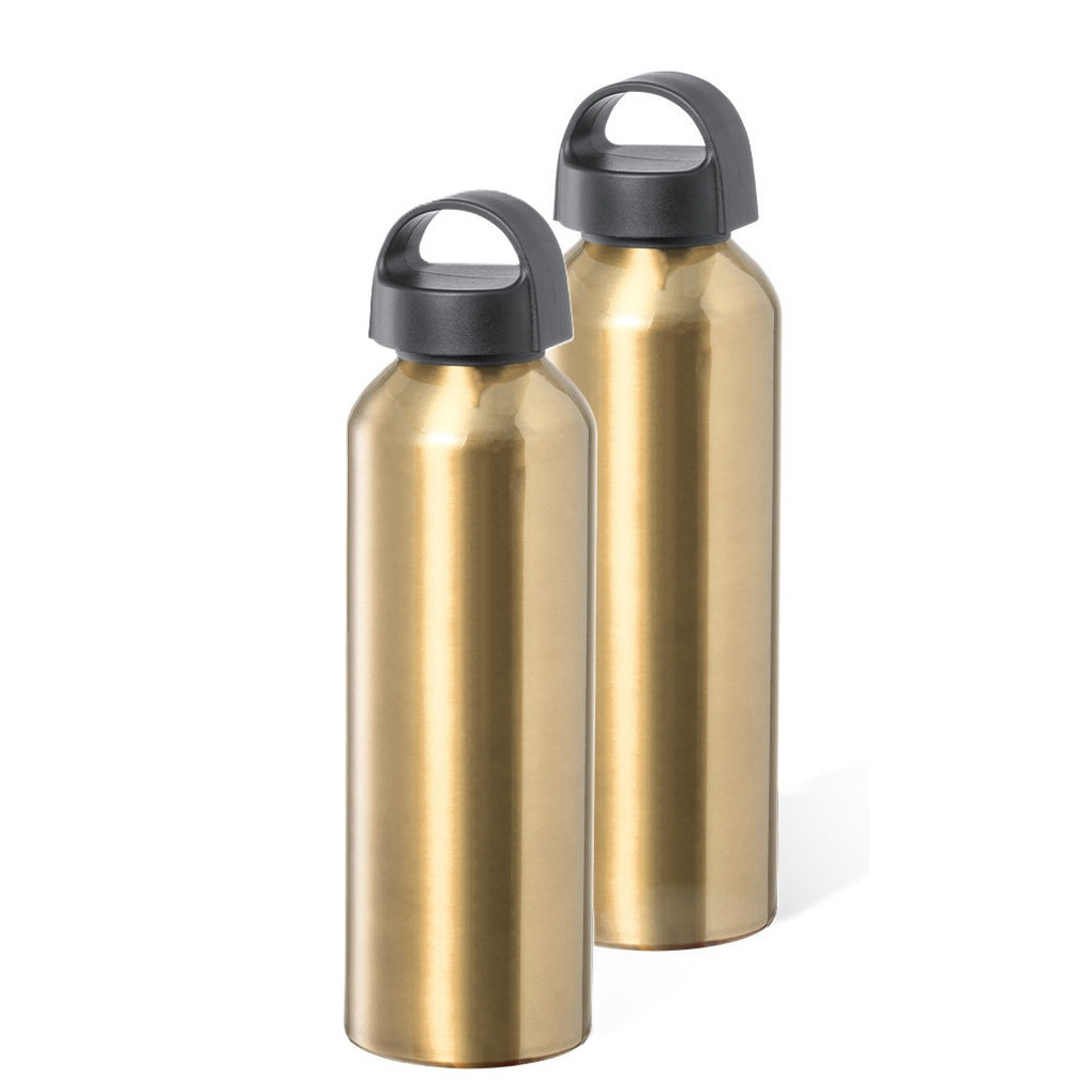 Bellatio Design Waterfles/drinkfles/sportfles - 2x - metallic goud - aluminium - 800 ml - schroefdop -
