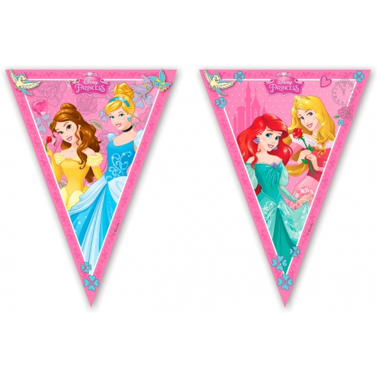 Disney Princess slingers vlaggetjes 2,3 m -