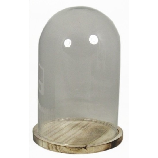 Zuiver Verknald Oneindigheid Presentatie stolp van glas op houten bord 30 cm bestellen? | Shoppartners.nl