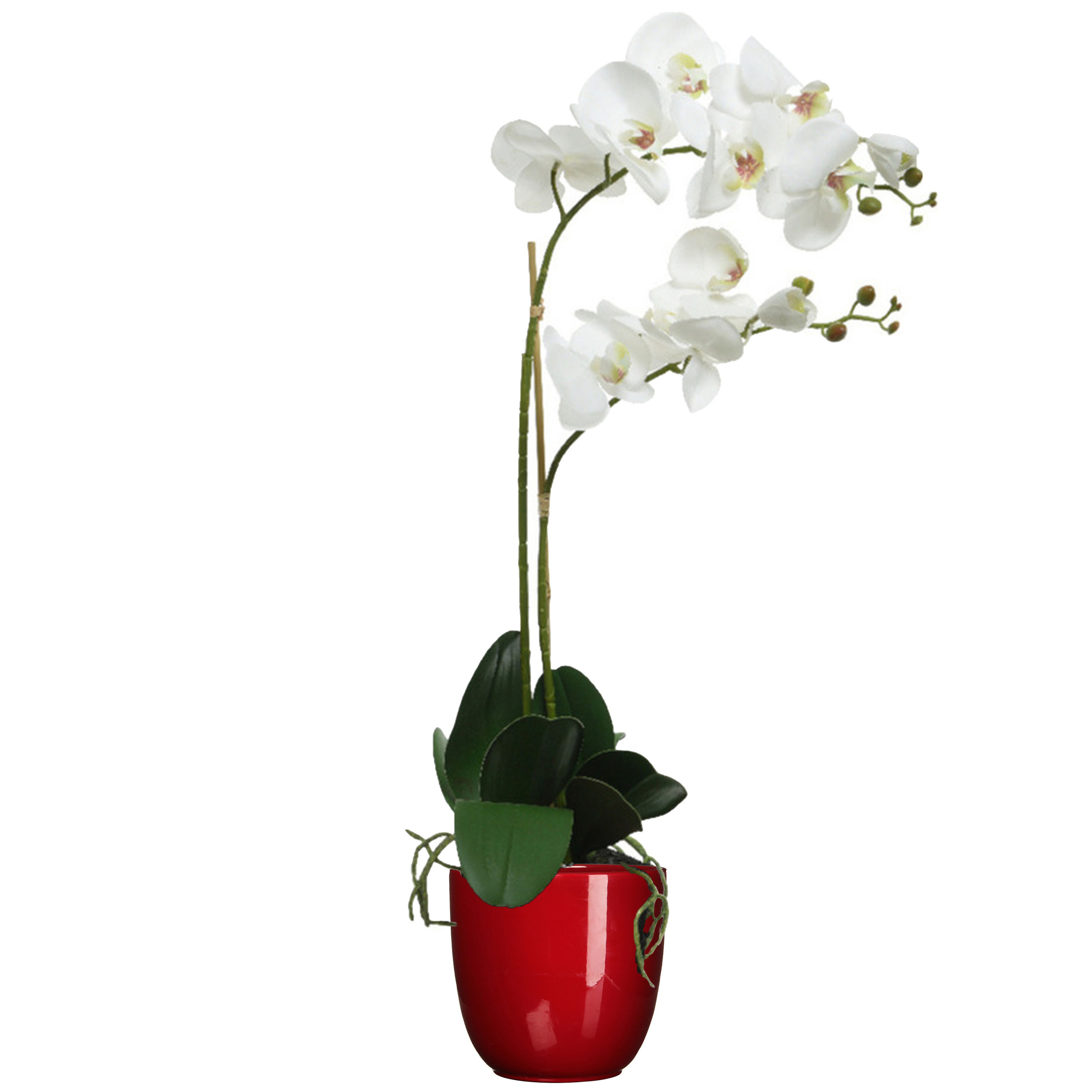 Orchidee kunstplant wit - 62 cm - inclusief bloempot donkerrood glans - Kunstbloemen in pot