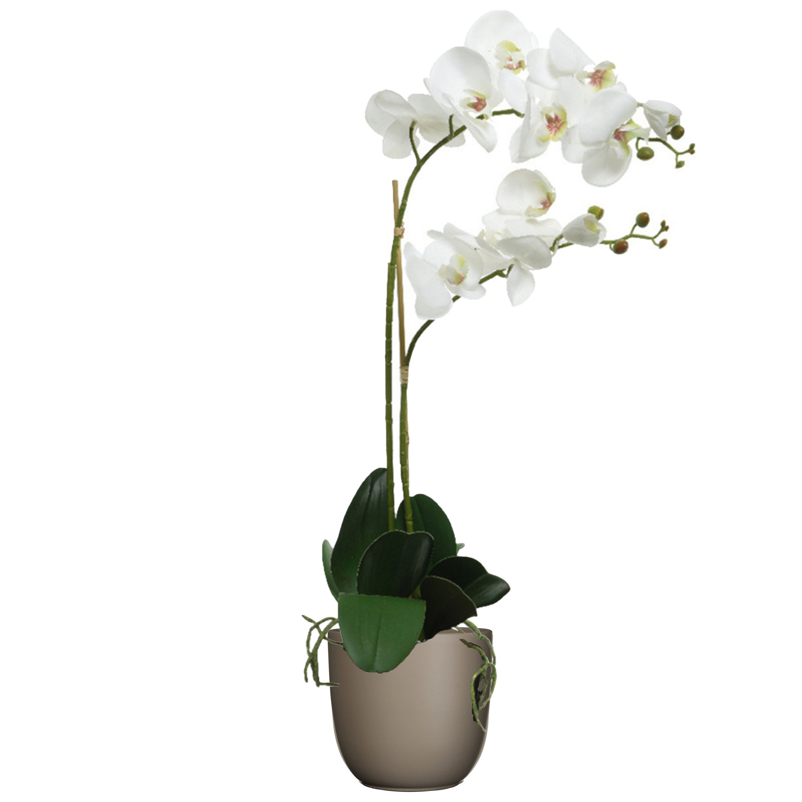Orchidee kunstplant wit - 62 cm - inclusief bloempot taupe mat - Kunstbloemen in pot