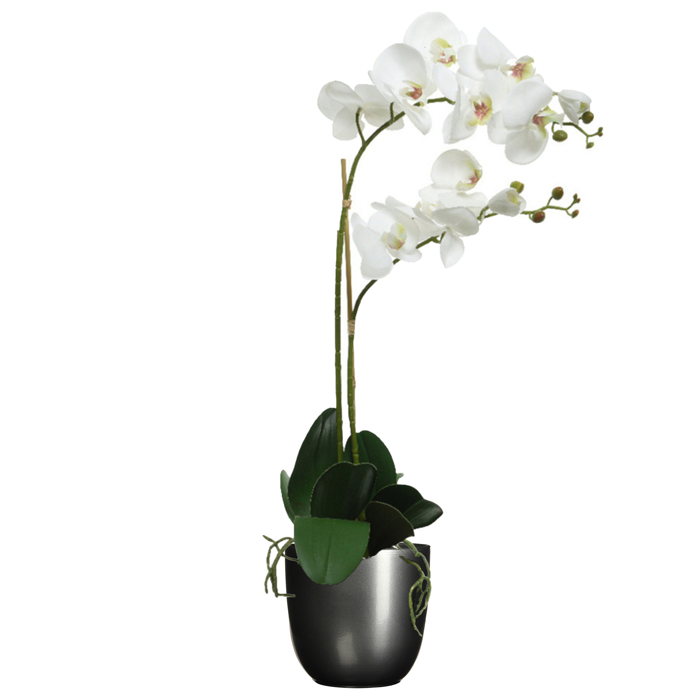 Orchidee kunstplant wit - 62 cm - inclusief bloempot titanium grijs glans - Kunstbloemen in pot