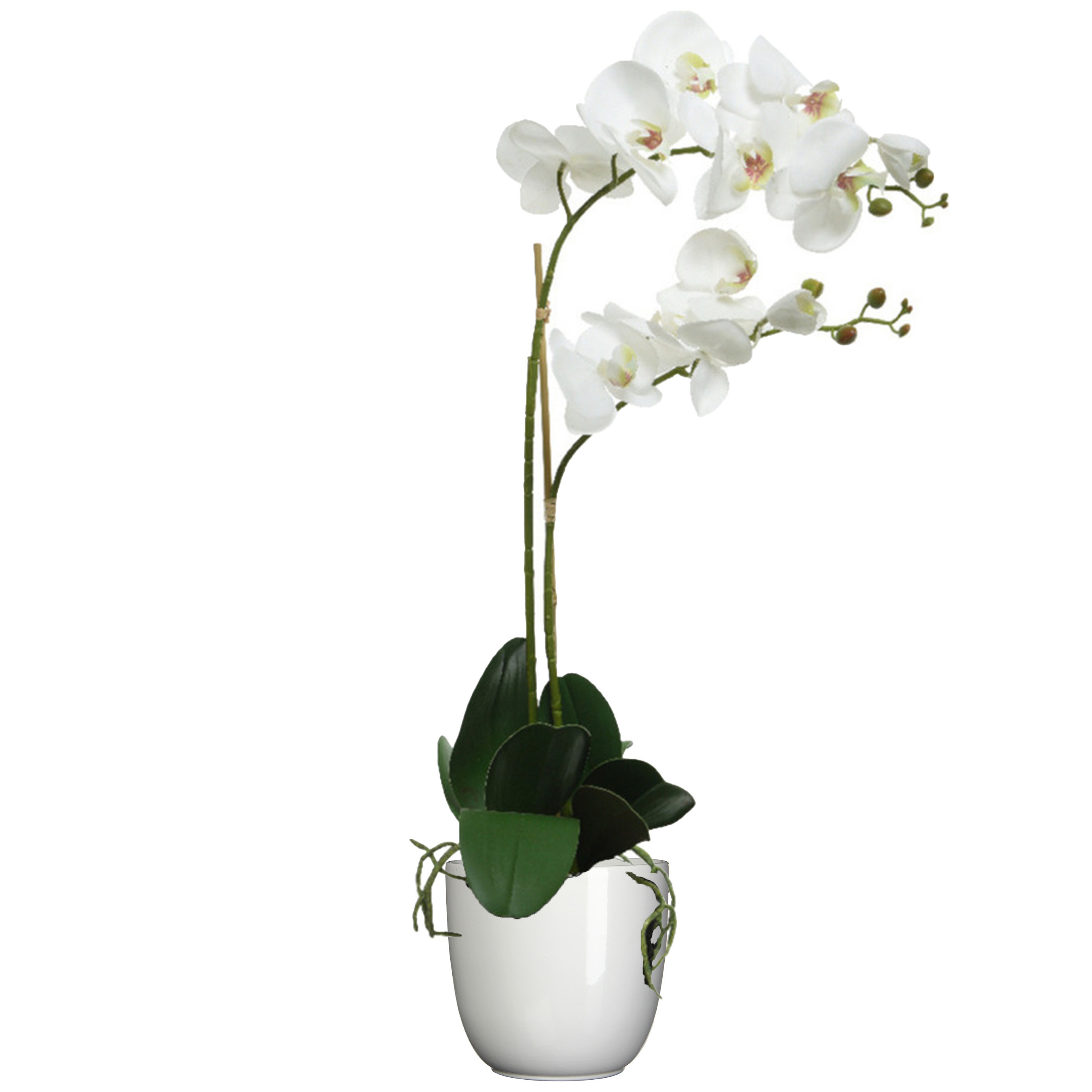 Orchidee kunstplant wit - 62 cm - inclusief bloempot wit glans - Kunstbloemen in pot