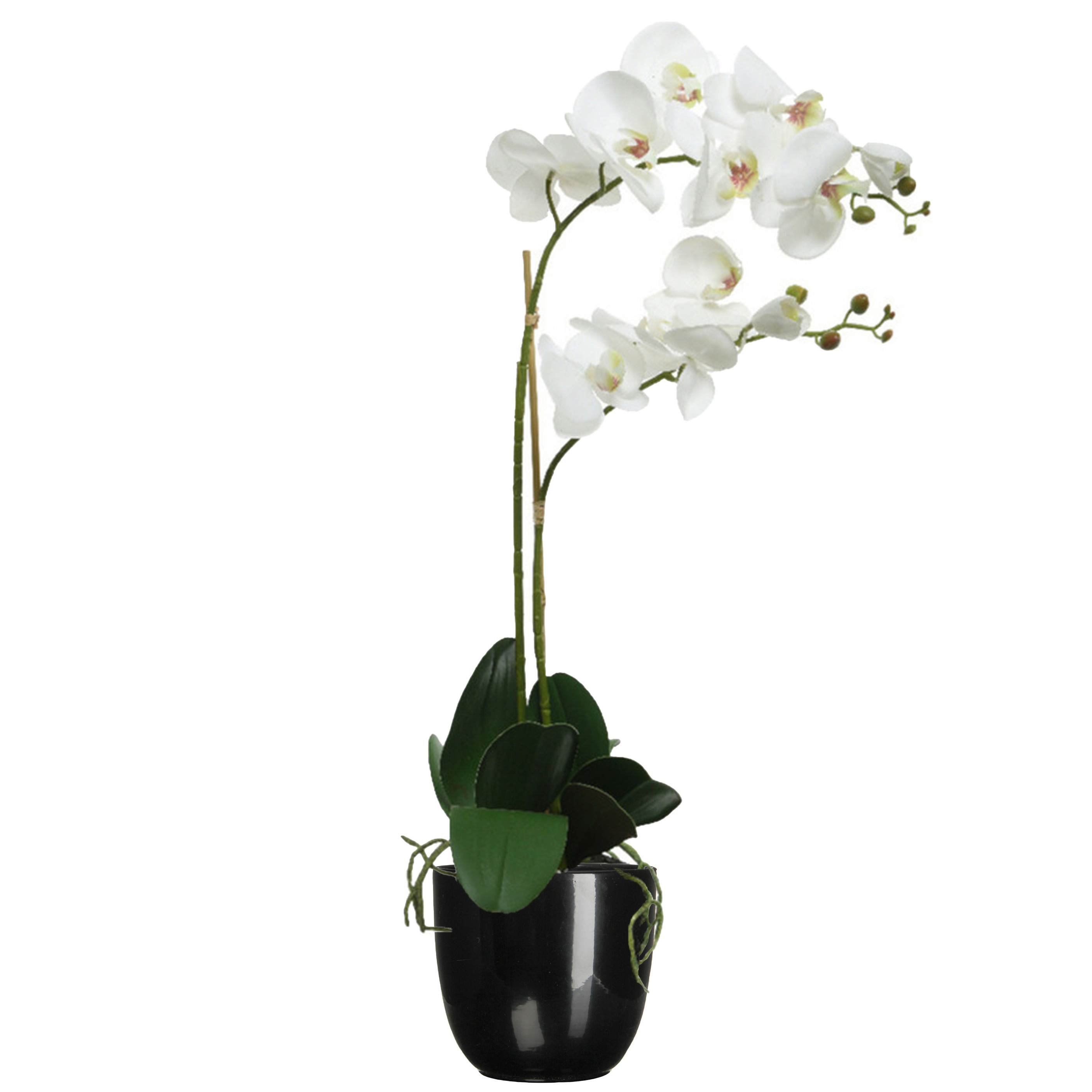 Orchidee kunstplant wit - 62 cm - inclusief bloempot zwart glans - Kunstbloemen in pot