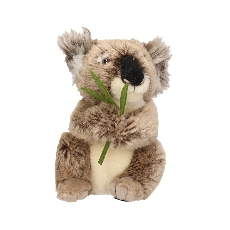 Pluche dieren koala knuffel van 17 cm -