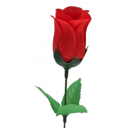 12x Super voordelige rode rozen 28 cm Valentijnsdag