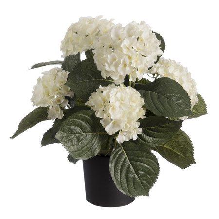4x pieces white hortensia Hydrangea artificial plant in black plastic pot 44 cm