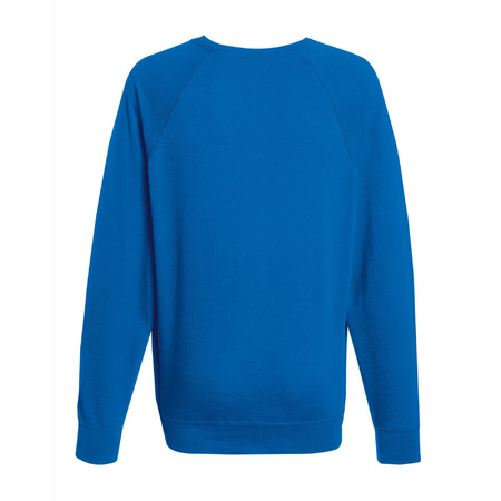 Sweater / sweatshirt trui blauw met ronde hals en raglan mouwen voor mannen