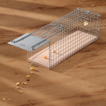 Animal friendly rattrap cage 28 cm pest control