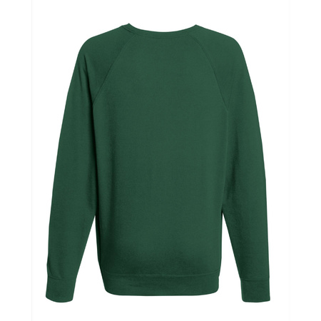 Sweater / sweatshirt trui groen / bottle green met ronde hals en raglan mouwen voor mannen