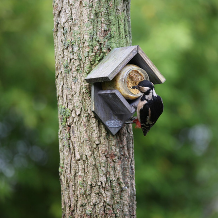 Esschert bird feeder peanut butter cottage 20 cm