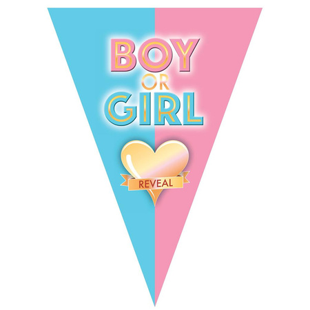 Gender reveal versieringen pakket geboorte jongen prik-ballon/ballonnen/vlaggetjes