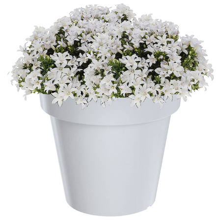 Grote witte kunststof bloempot/plantenpot 60 cm