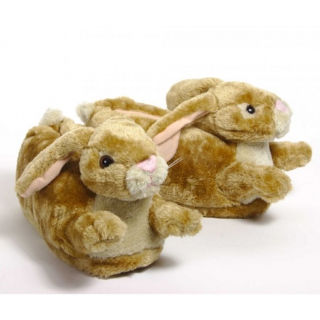 Kinder dieren pantoffels konijn
