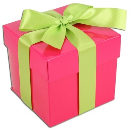 groep Marine Faial Kado doosjes roze met lichtgroene strik 10 cm vierkant bestellen? |  Shoppartners.nl