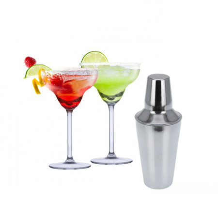 Set van 4x Margarita cocktailglazen met cocktailshaker RVS