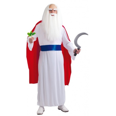 Wizards costume for adults