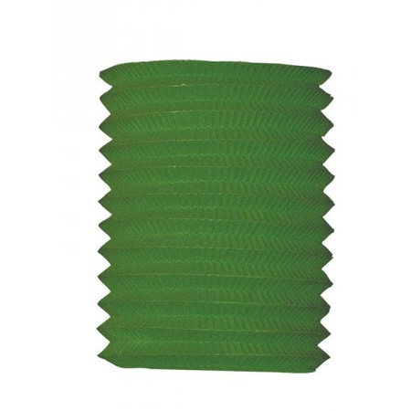 Treklampion groen 16 cm hoog