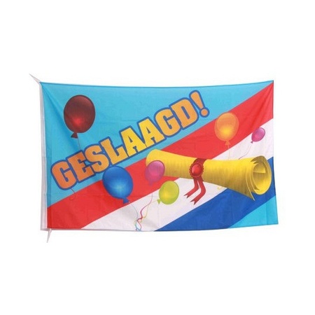 Flag gradiation theme - 150 x 90 cm - party decorations